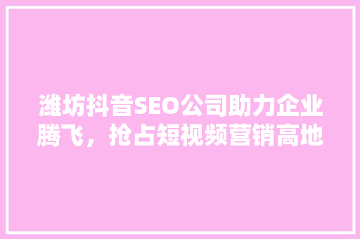 潍坊抖音SEO公司助力企业腾飞，抢占短视频营销高地