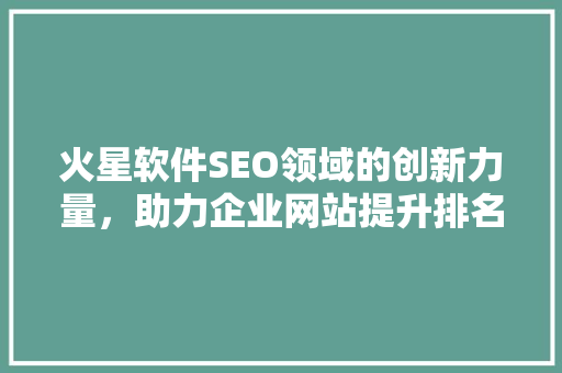 火星软件SEO领域的创新力量，助力企业网站提升排名