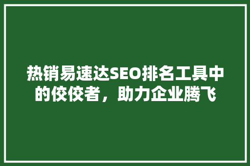 热销易速达SEO排名工具中的佼佼者，助力企业腾飞