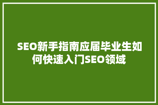 SEO新手指南应届毕业生如何快速入门SEO领域