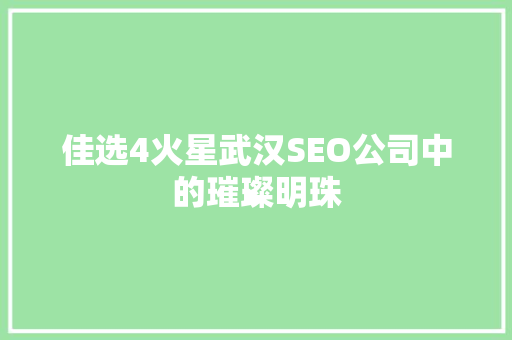 佳选4火星武汉SEO公司中的璀璨明珠