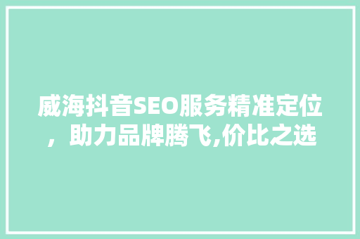 威海抖音SEO服务精准定位，助力品牌腾飞,价比之选