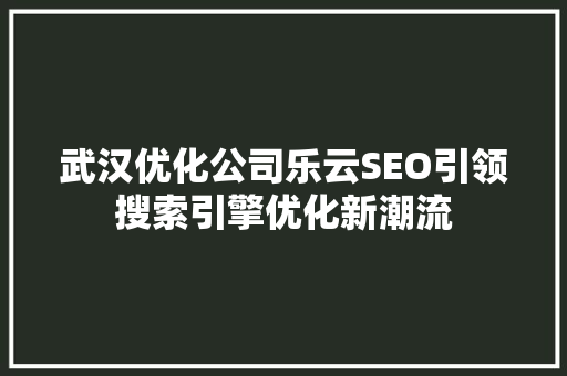 武汉优化公司乐云SEO引领搜索引擎优化新潮流