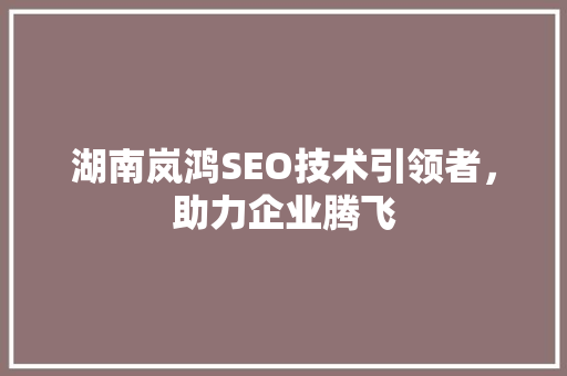 湖南岚鸿SEO技术引领者，助力企业腾飞