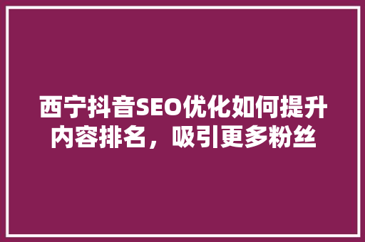 西宁抖音SEO优化如何提升内容排名，吸引更多粉丝