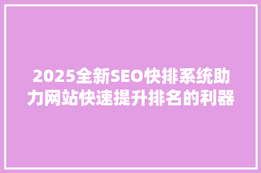 2025全新SEO快排系统助力网站快速提升排名的利器
