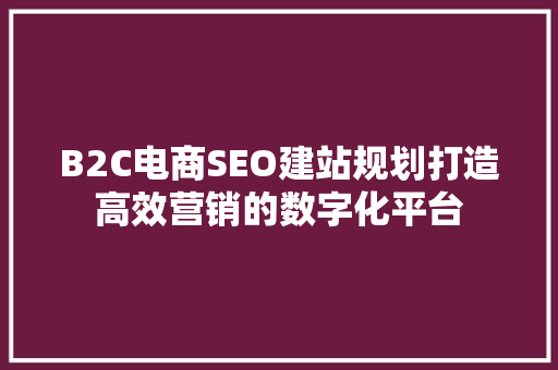 B2C电商SEO建站规划打造高效营销的数字化平台
