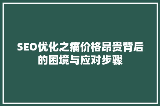 SEO优化之痛价格昂贵背后的困境与应对步骤