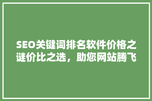 SEO关键词排名软件价格之谜价比之选，助您网站腾飞