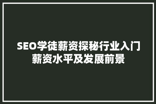 SEO学徒薪资探秘行业入门薪资水平及发展前景