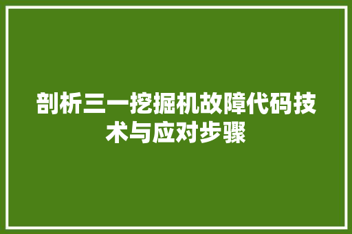 剖析三一挖掘机故障代码技术与应对步骤