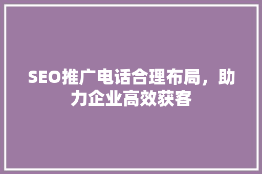 SEO推广电话合理布局，助力企业高效获客