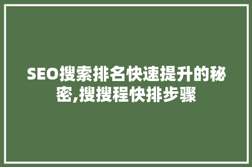 SEO搜索排名快速提升的秘密,搜搜程快排步骤