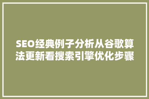SEO经典例子分析从谷歌算法更新看搜索引擎优化步骤演变