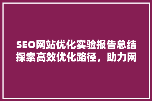 SEO网站优化实验报告总结探索高效优化路径，助力网站提升排名