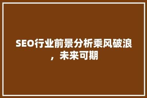 SEO行业前景分析乘风破浪，未来可期