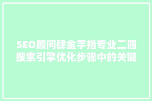 SEO顾问肆金手指专业二四搜索引擎优化步骤中的关键要素