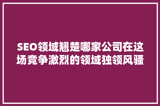 SEO领域翘楚哪家公司在这场竞争激烈的领域独领风骚