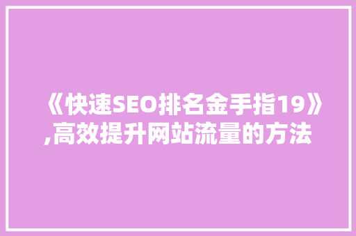 《快速SEO排名金手指19》,高效提升网站流量的方法