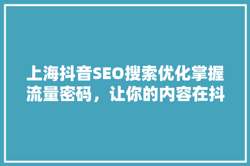 上海抖音SEO搜索优化掌握流量密码，让你的内容在抖音上脱颖而出