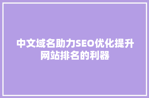 中文域名助力SEO优化提升网站排名的利器