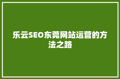 乐云SEO东莞网站运营的方法之路