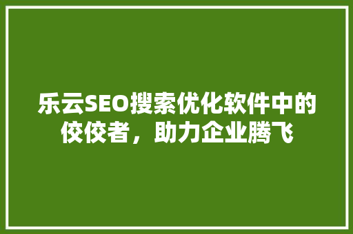 乐云SEO搜索优化软件中的佼佼者，助力企业腾飞