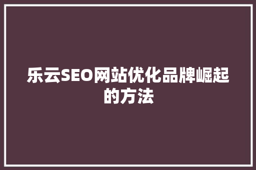 乐云SEO网站优化品牌崛起的方法