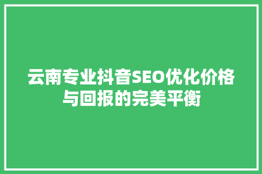 云南专业抖音SEO优化价格与回报的完美平衡