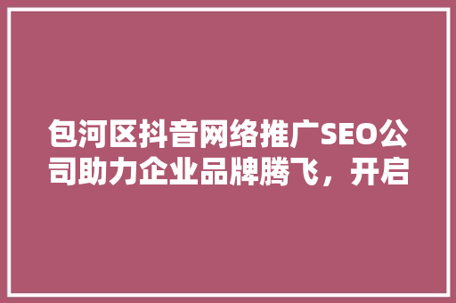 包河区抖音网络推广SEO公司助力企业品牌腾飞，开启流量新时代