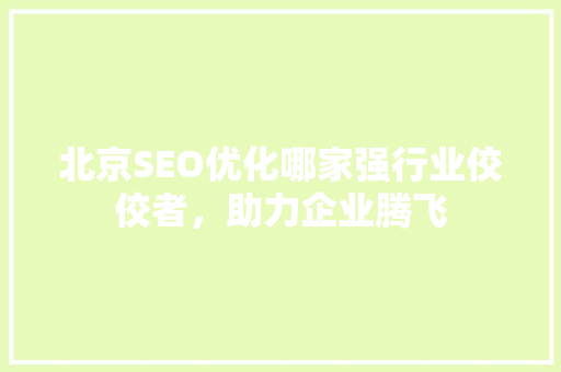 北京SEO优化哪家强行业佼佼者，助力企业腾飞
