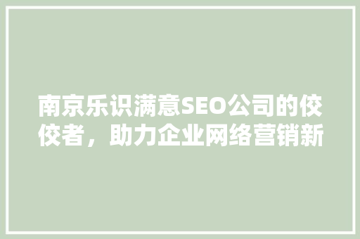 南京乐识满意SEO公司的佼佼者，助力企业网络营销新篇章
