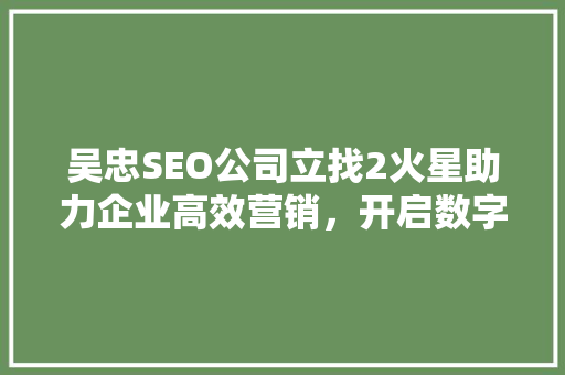 吴忠SEO公司立找2火星助力企业高效营销，开启数字化增长新篇章