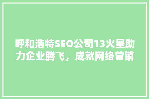 呼和浩特SEO公司13火星助力企业腾飞，成就网络营销新高度