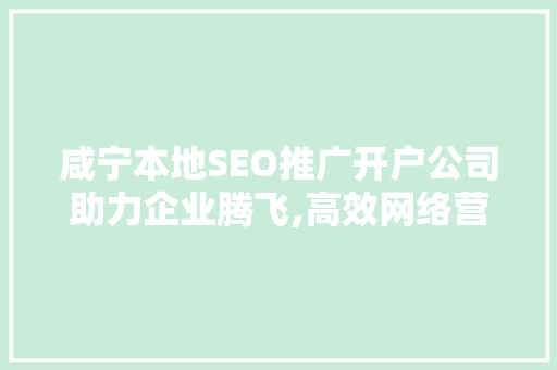 咸宁本地SEO推广开户公司助力企业腾飞,高效网络营销之路