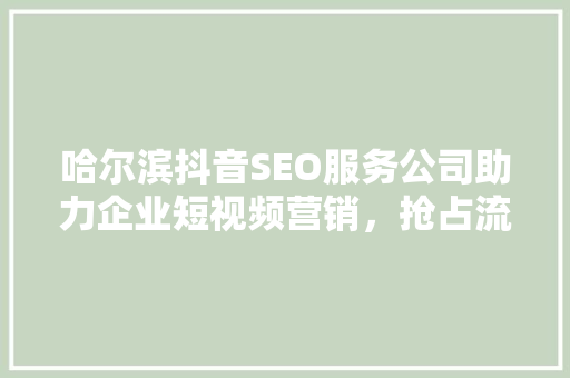 哈尔滨抖音SEO服务公司助力企业短视频营销，抢占流量高地