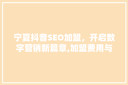 宁夏抖音SEO加盟，开启数字营销新篇章,加盟费用与收益
