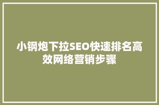 小钢炮下拉SEO快速排名高效网络营销步骤