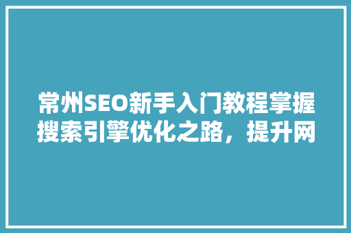 常州SEO新手入门教程掌握搜索引擎优化之路，提升网站流量与排名
