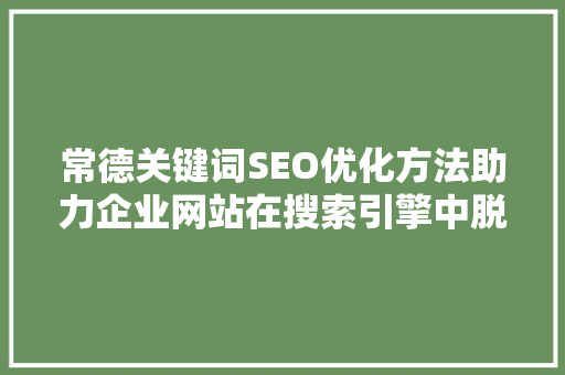 常德关键词SEO优化方法助力企业网站在搜索引擎中脱颖而出  第1张