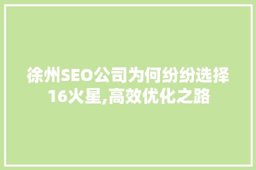 徐州SEO公司为何纷纷选择16火星,高效优化之路