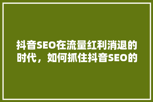 抖音SEO在流量红利消退的时代，如何抓住抖音SEO的机遇