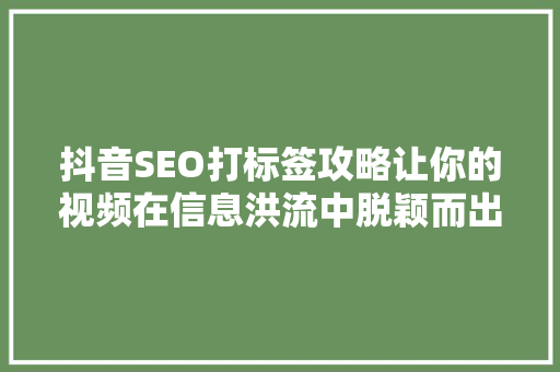 抖音SEO打标签攻略让你的视频在信息洪流中脱颖而出