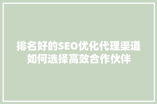 排名好的SEO优化代理渠道如何选择高效合作伙伴