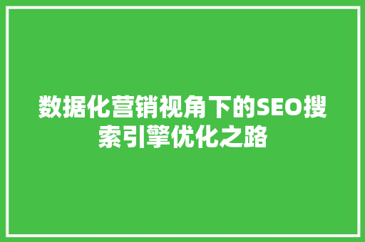 数据化营销视角下的SEO搜索引擎优化之路