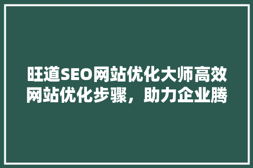旺道SEO网站优化大师高效网站优化步骤，助力企业腾飞