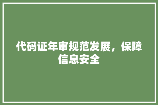 代码证年审规范发展，保障信息安全