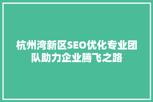 杭州湾新区SEO优化专业团队助力企业腾飞之路