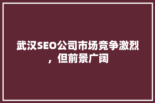 武汉SEO公司市场竞争激烈，但前景广阔