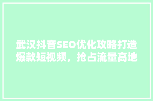 武汉抖音SEO优化攻略打造爆款短视频，抢占流量高地